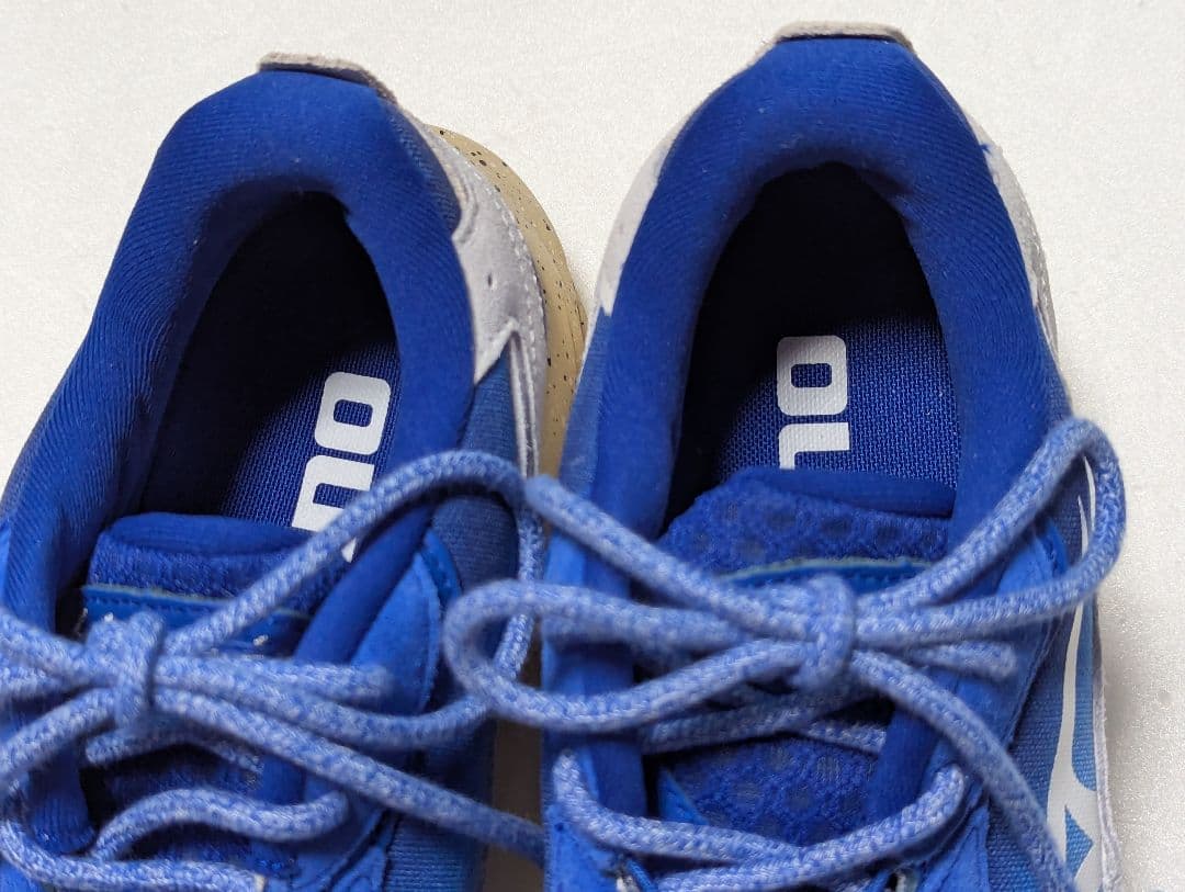 永井博×ミズノ　ウェーブライダー　ベータ