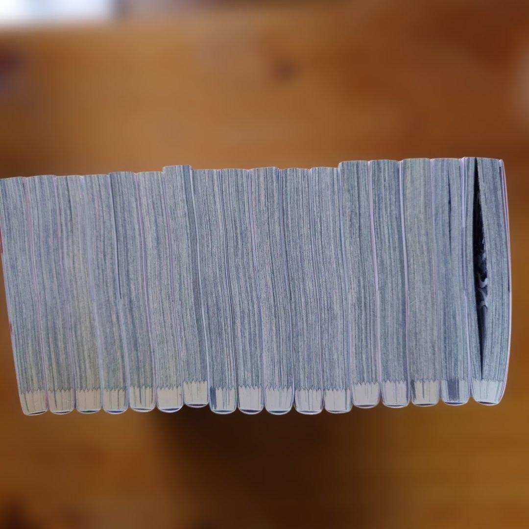 味方が弱すぎて補助魔法に徹していた宮廷魔法師、追放されて最強を目指す 全17巻