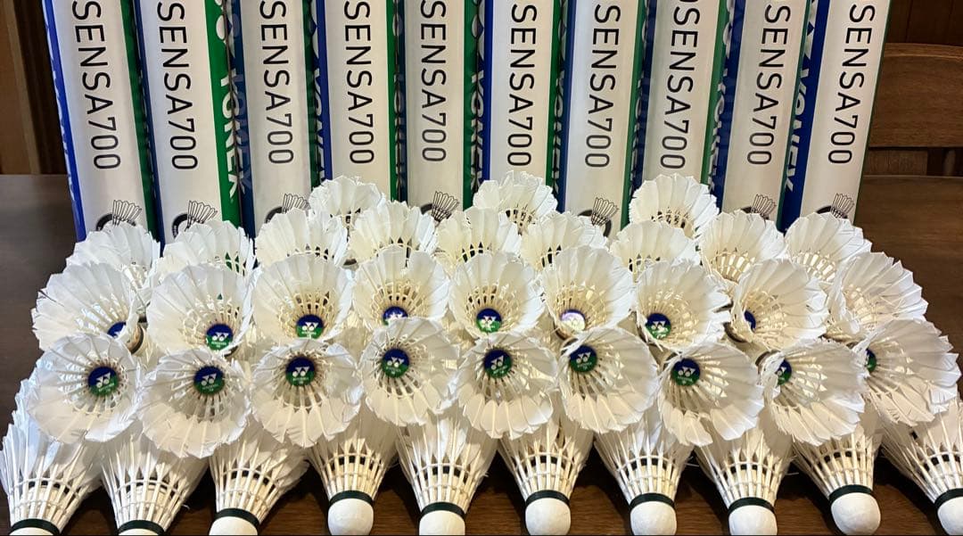 エアロセンサー700 120球