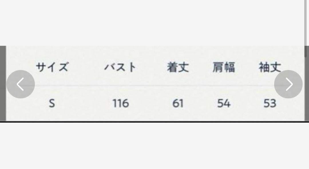 専用です　　　 45R 度詰天竺の908モックネック馬Tシャツ