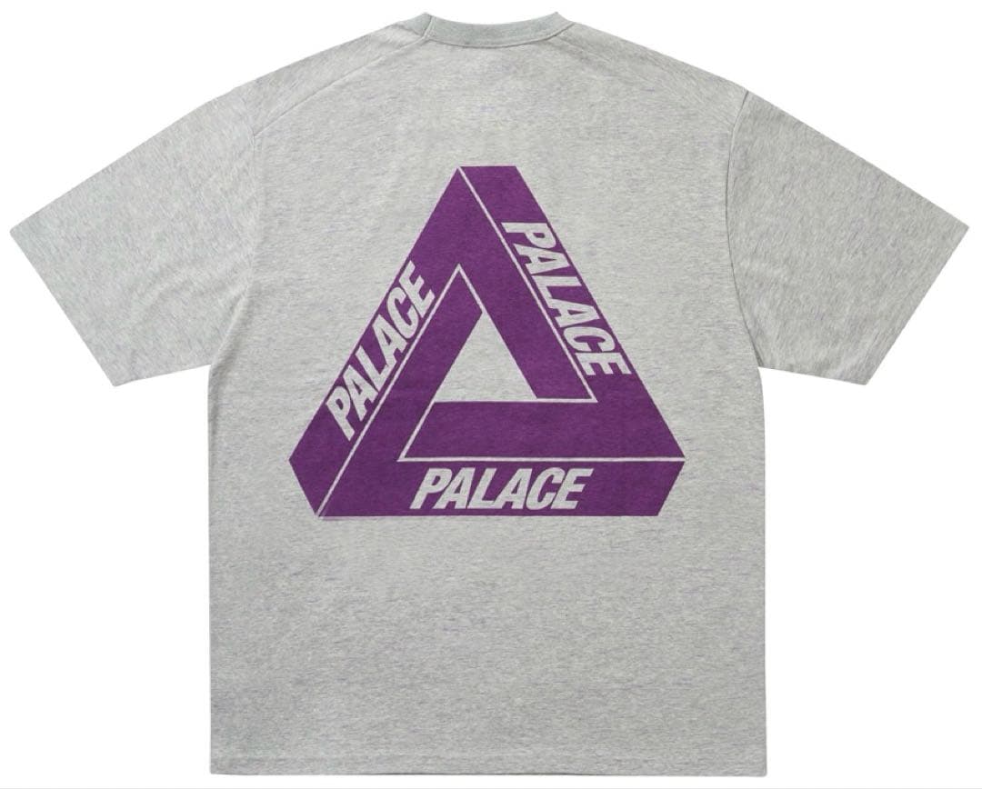 PALACE THE NORTH FACE グレー Tシャツ