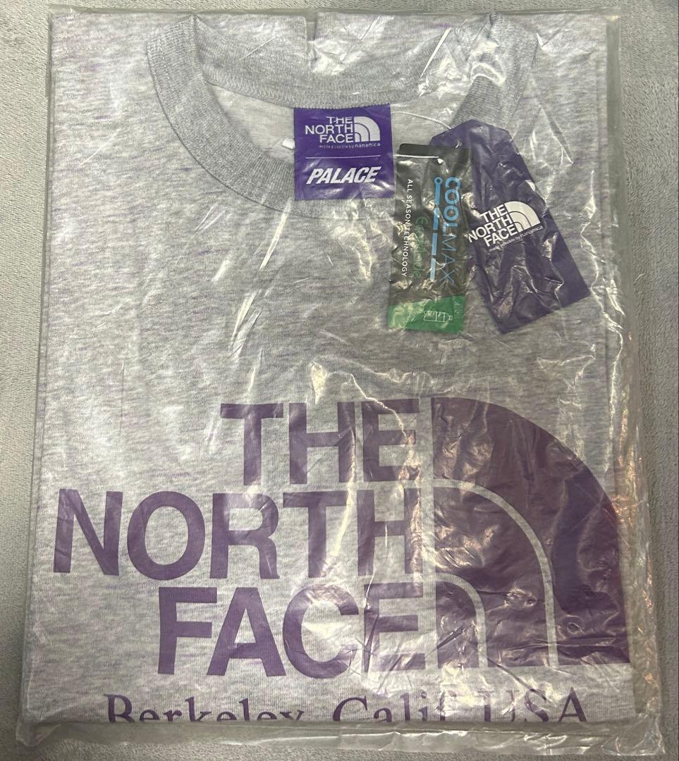PALACE THE NORTH FACE グレー Tシャツ