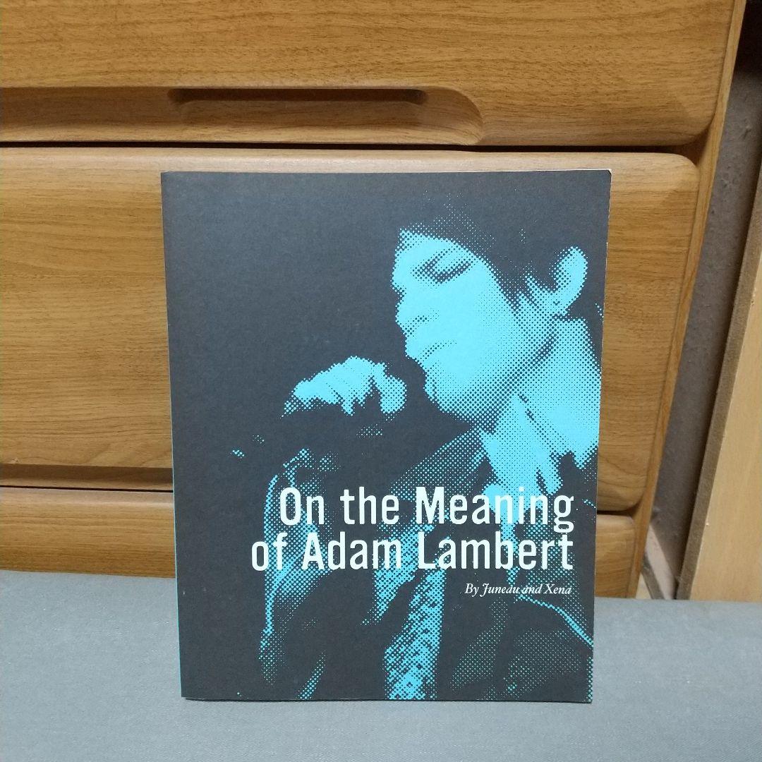 On the Meaning of Adam Lambert 英語版　k1