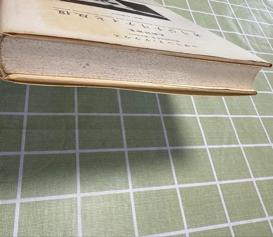 オリジナリティと反復　ロザリンド・クラウス　美術評論集