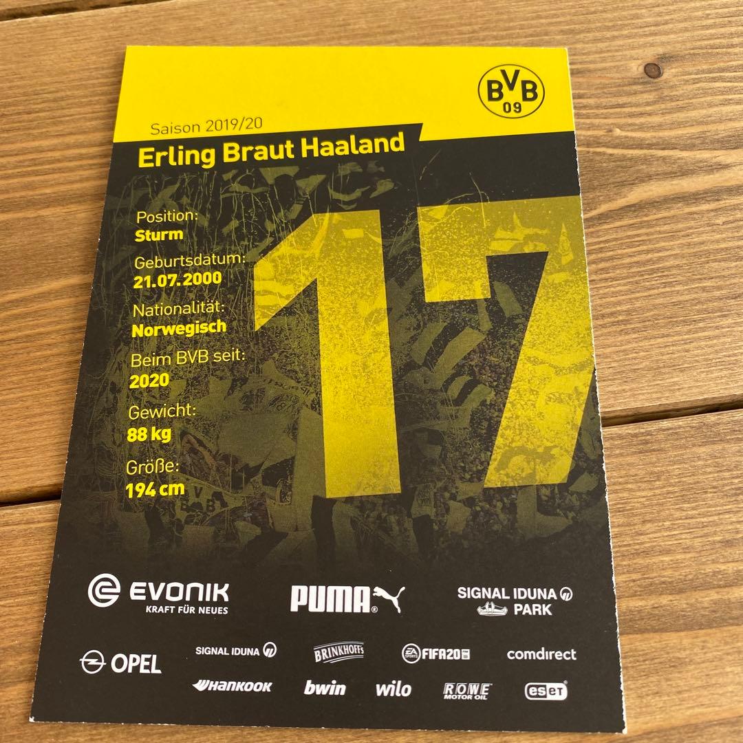 ハーランド　オートグラフ