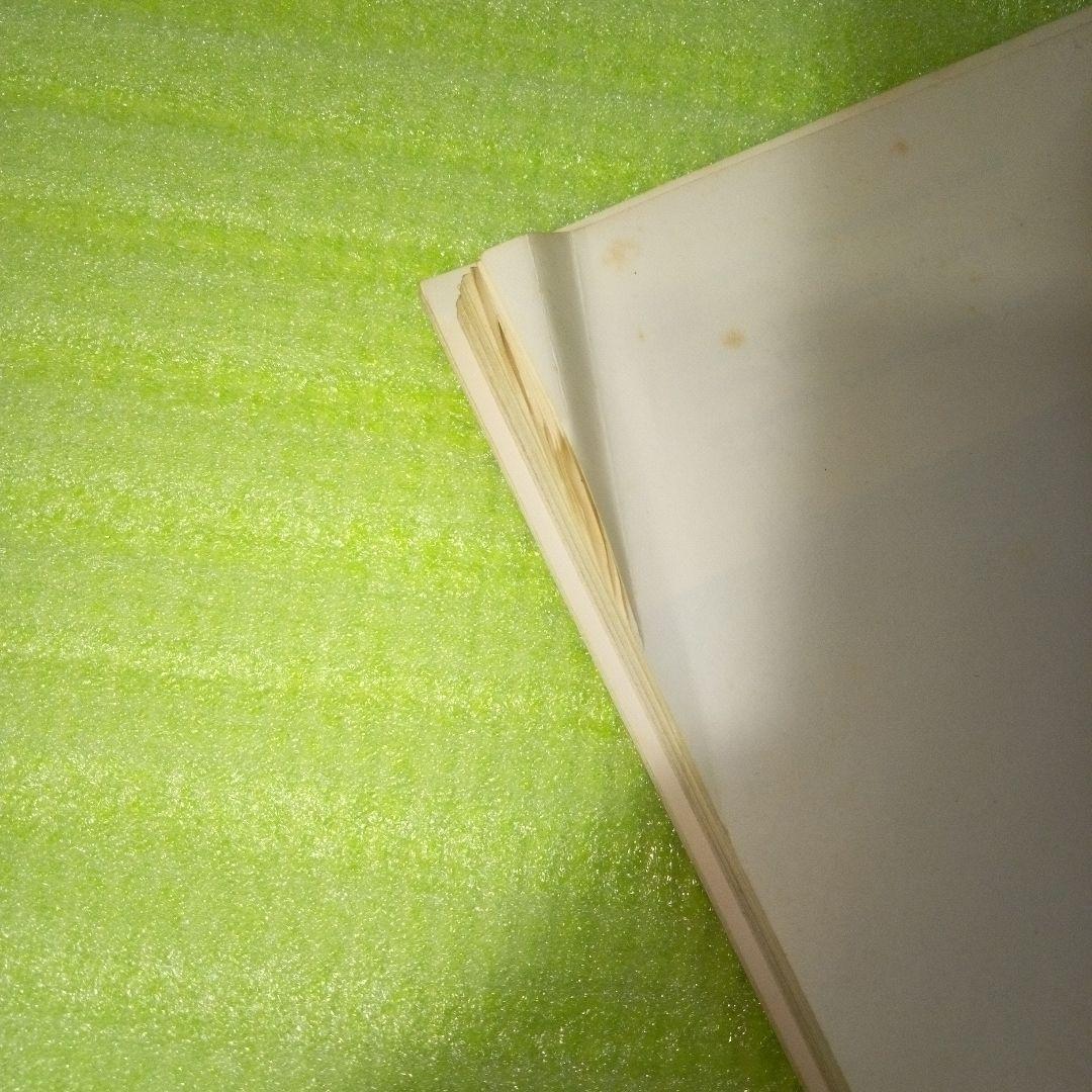 Trilobites　A Photographic Atlas　三葉虫　化石　本