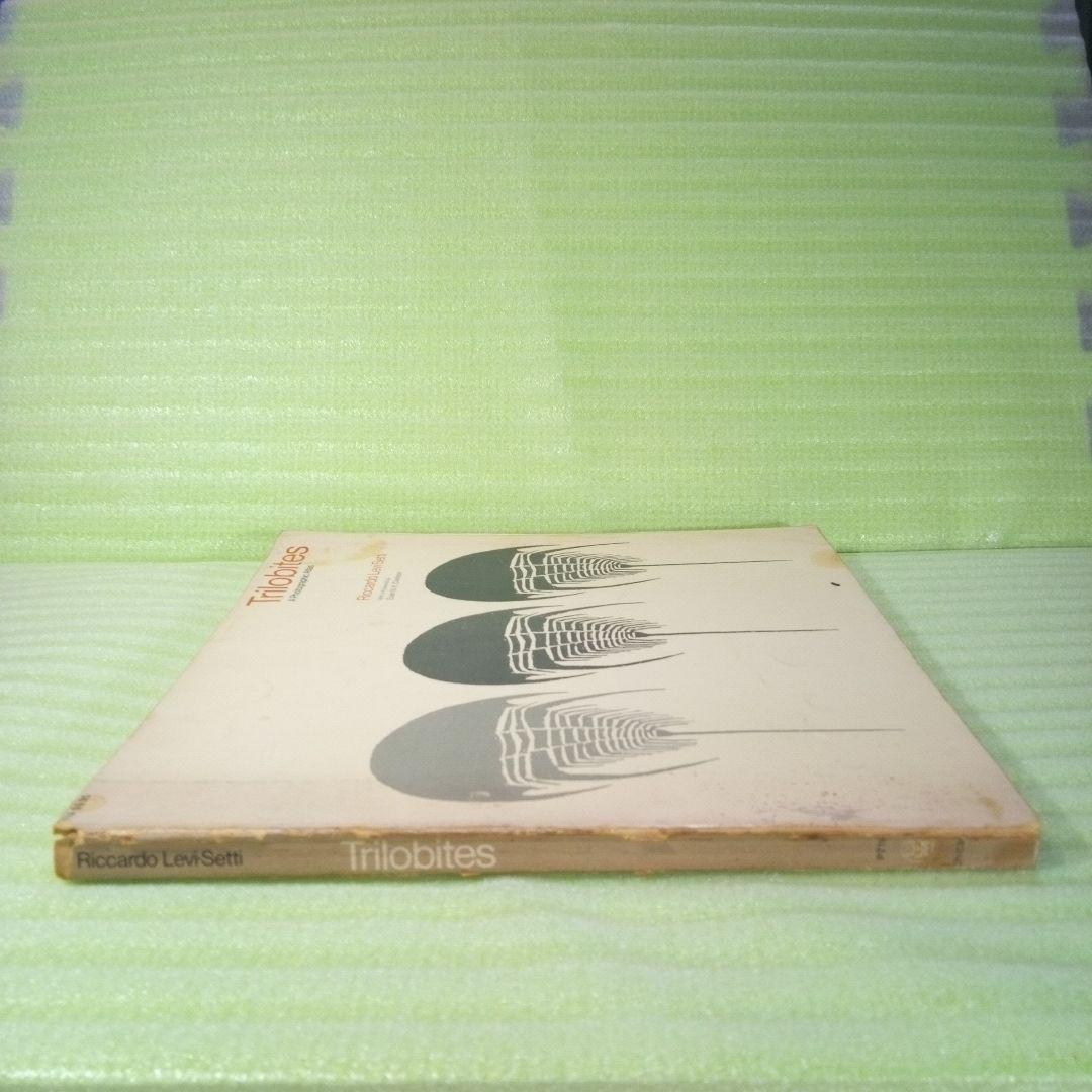 Trilobites　A Photographic Atlas　三葉虫　化石　本