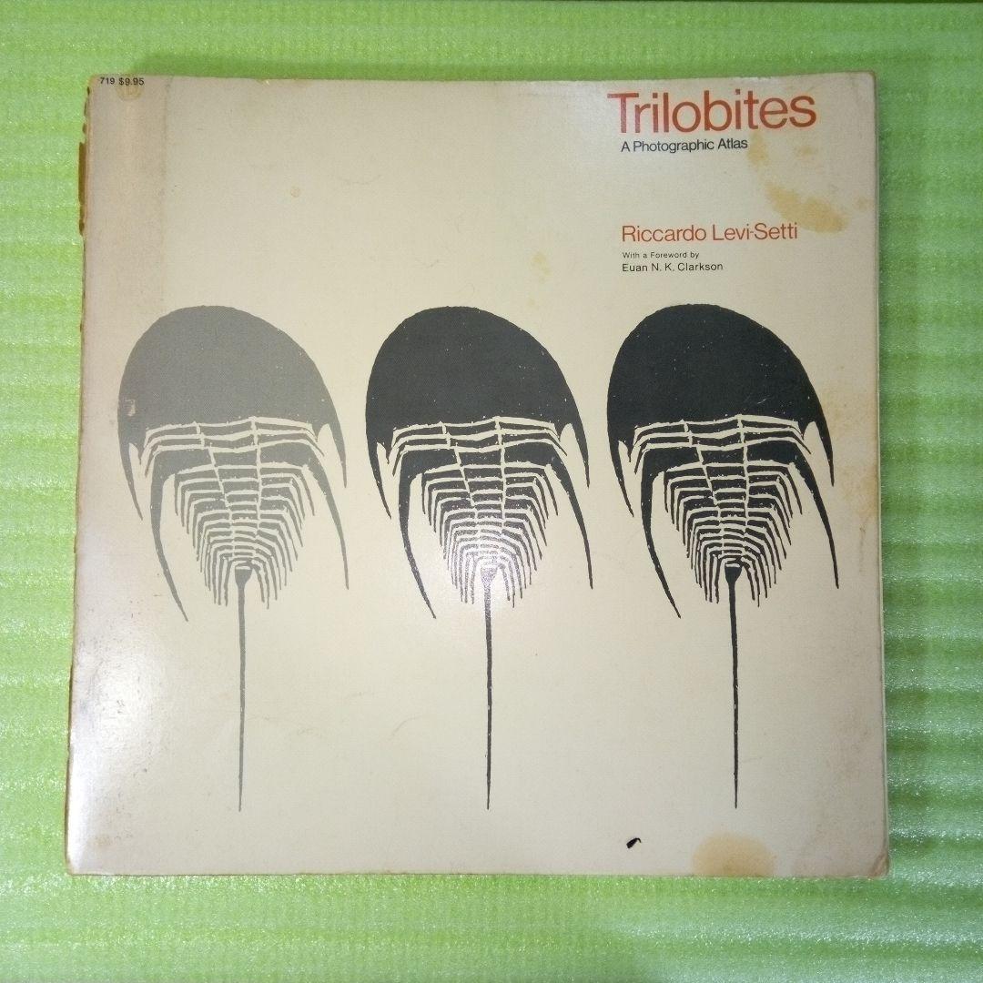 Trilobites　A Photographic Atlas　三葉虫　化石　本