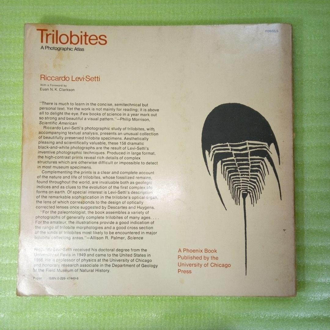Trilobites　A Photographic Atlas　三葉虫　化石　本