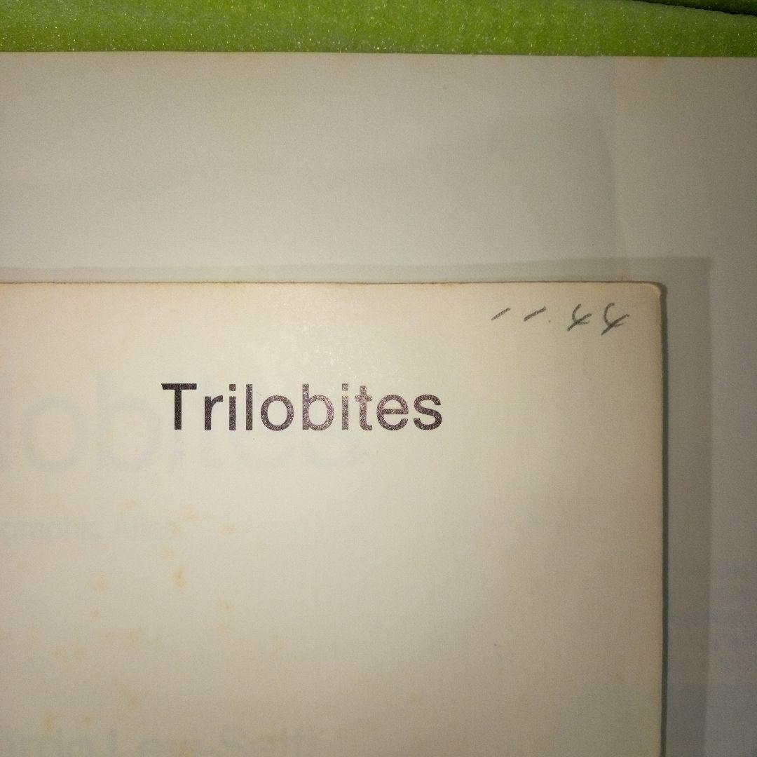 Trilobites　A Photographic Atlas　三葉虫　化石　本