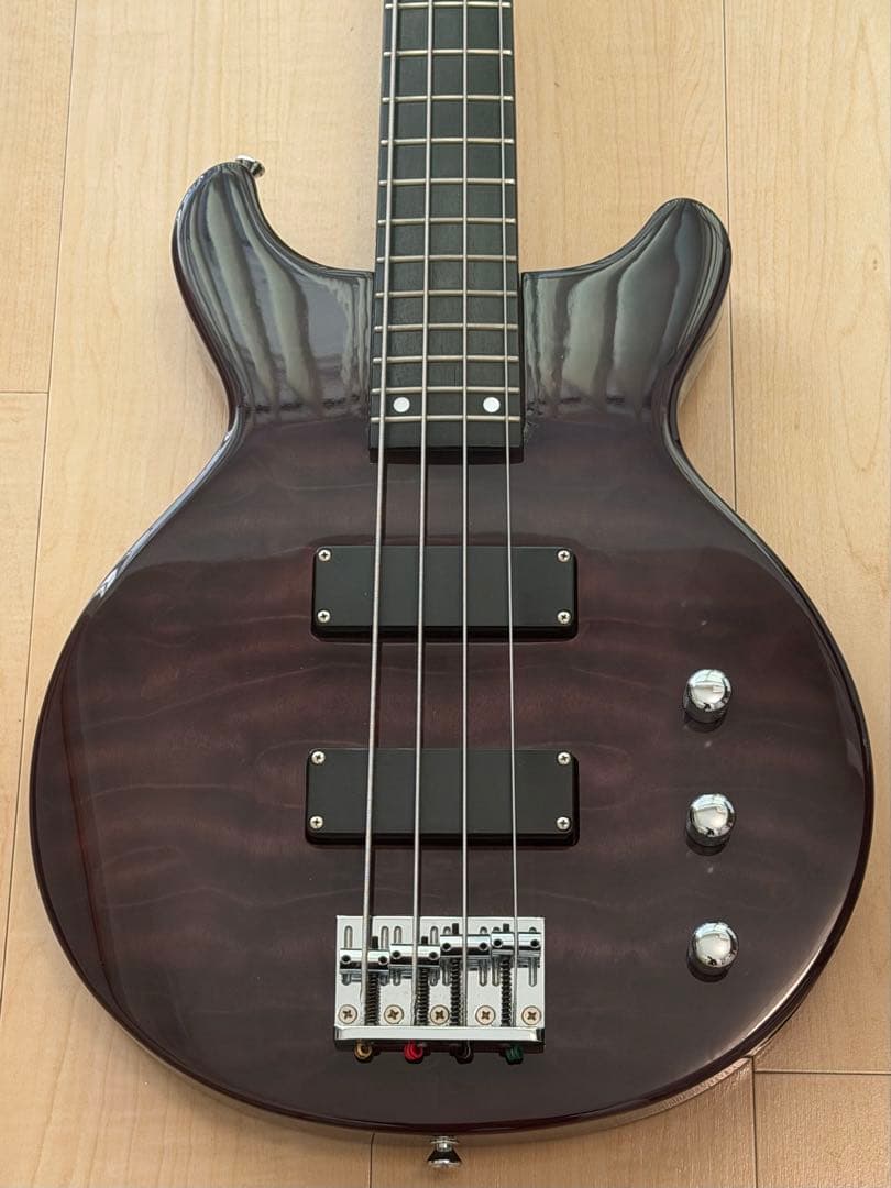 EDWARDS E-J-140 Fire Black／LUNA SEA／Jモデル