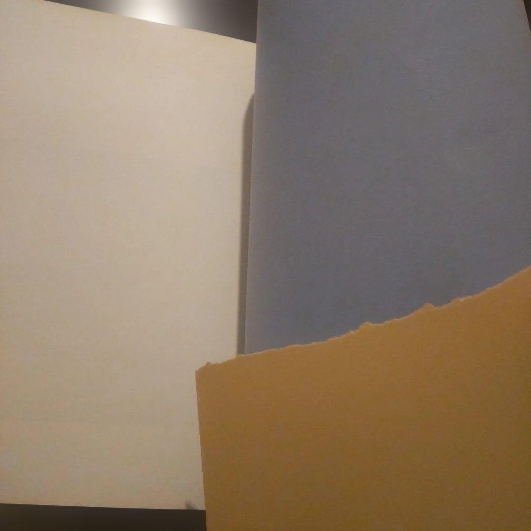 アート・デザイン・音楽 STEVEN CAMPBELL New Paintings