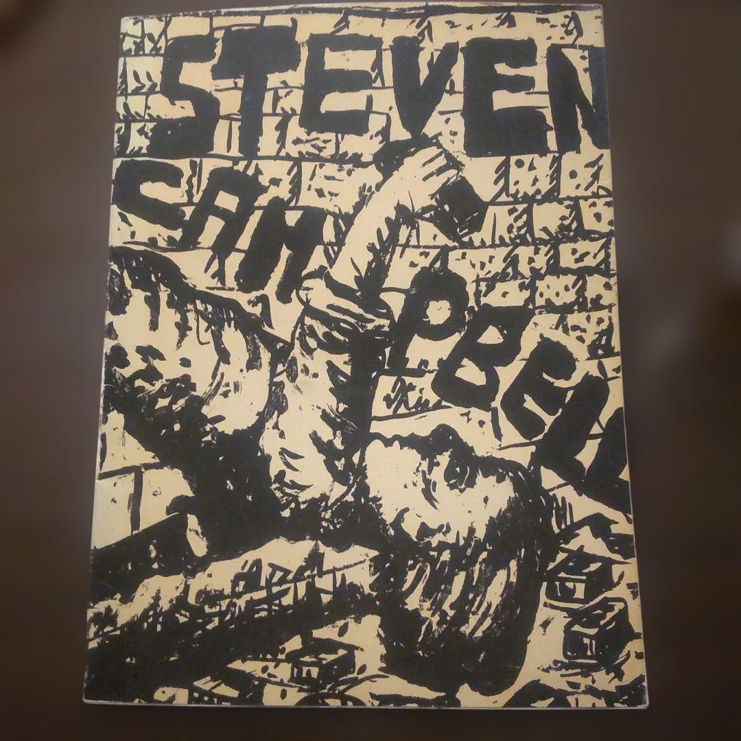 アート・デザイン・音楽 STEVEN CAMPBELL New Paintings