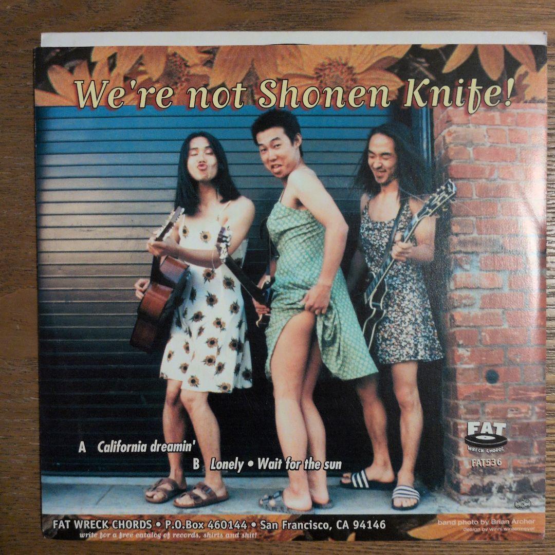 邦楽 HI-STANDARD California Dreamin'