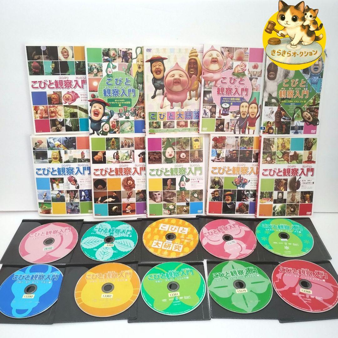 R*N様 こびとづかん　全10巻　DVD