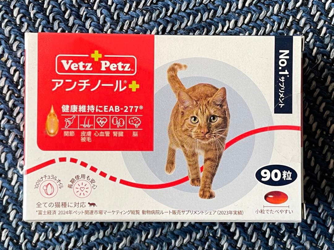 アンチノール　猫　90錠