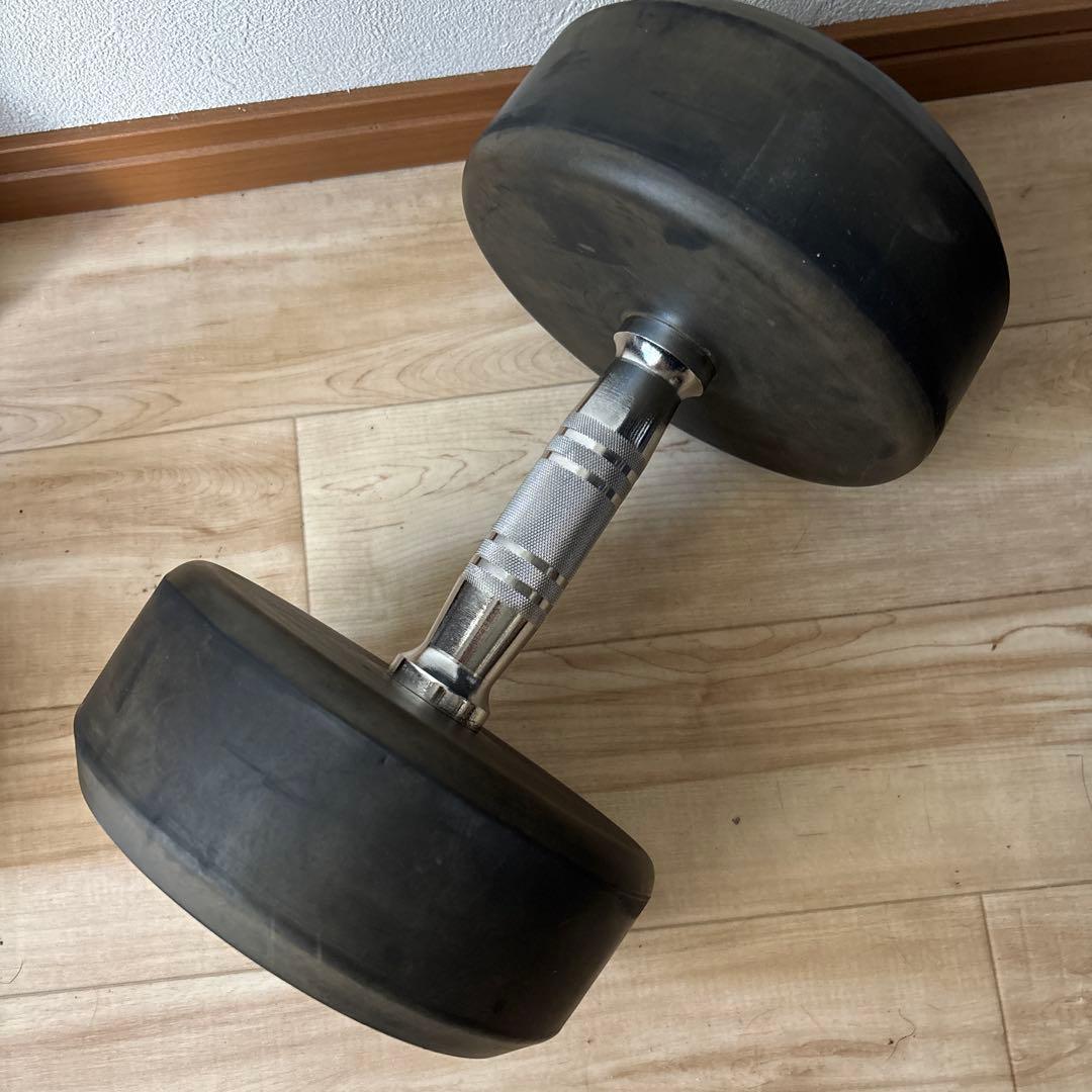 WILD 22kg ダンベル　1 状態良い　最安値