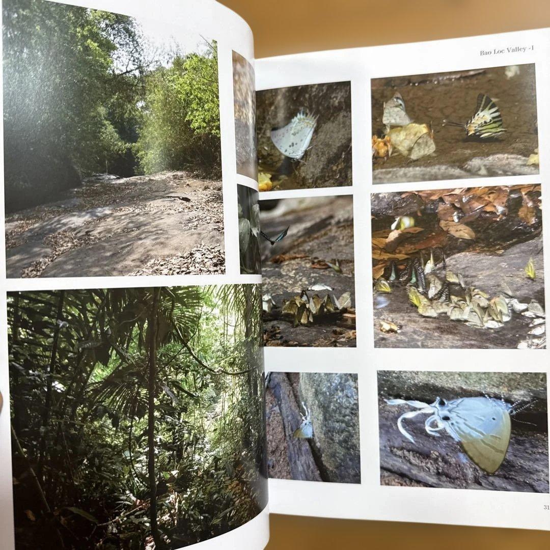 南ベトナム採集紀行