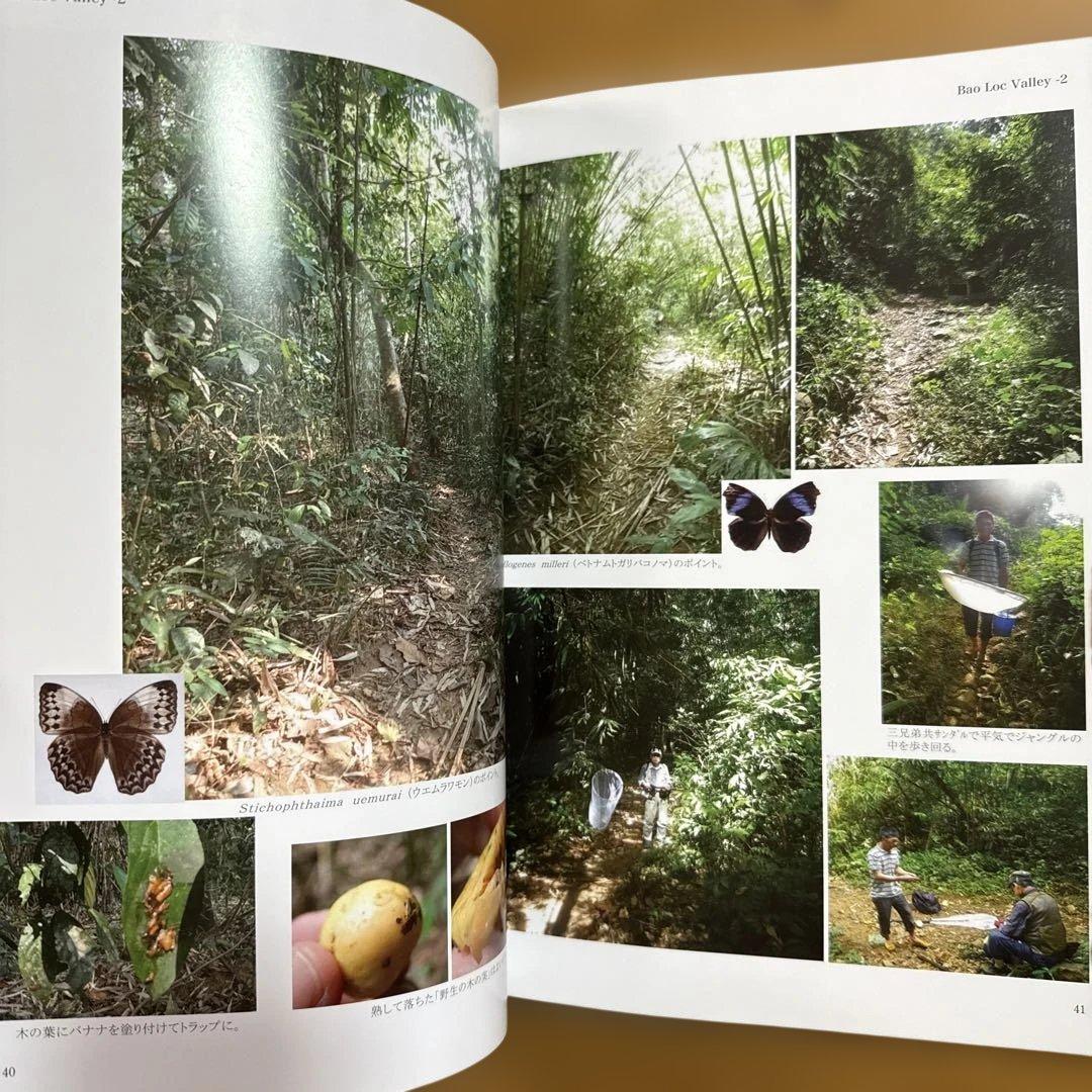 南ベトナム採集紀行