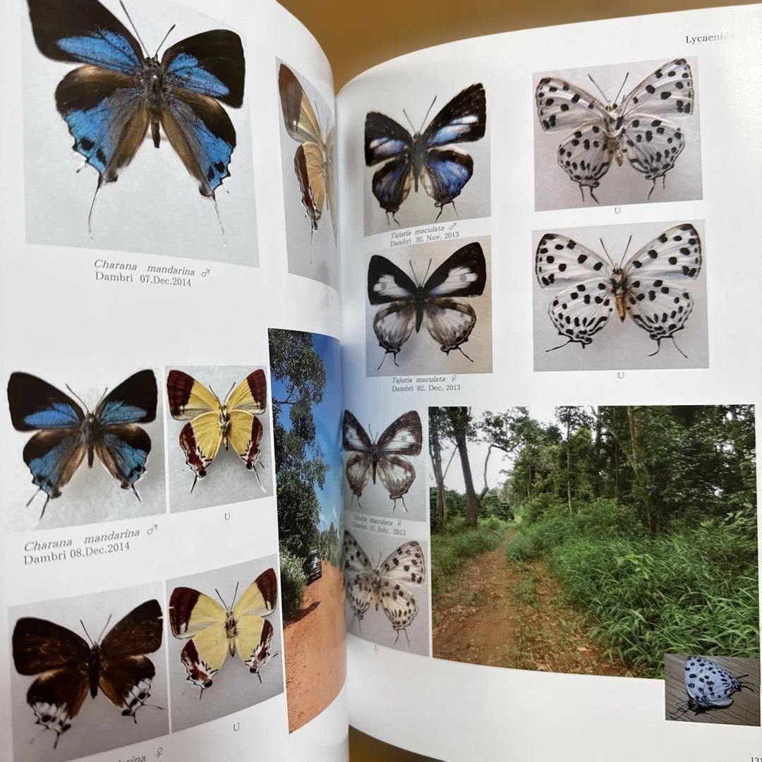 南ベトナム採集紀行