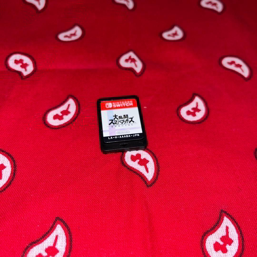 Nintendo Switch Lite グレー 充電器＋スマブラカセット付き