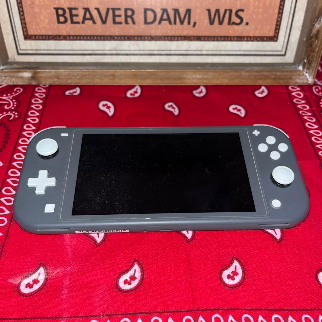 Nintendo Switch Lite グレー 充電器＋スマブラカセット付き