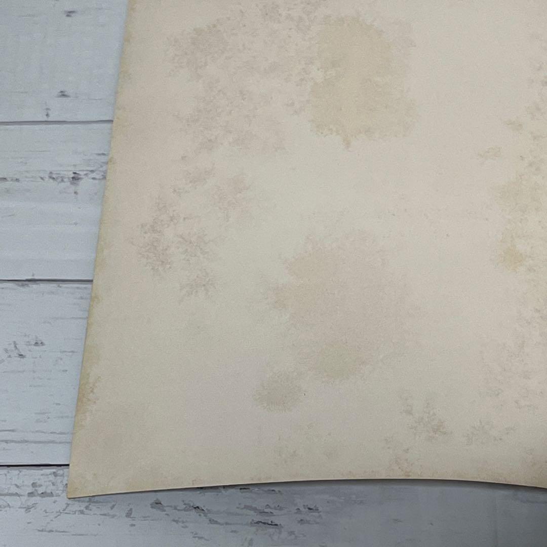 洋書 Disney Animation: The Illusion of Life