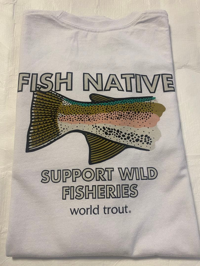入手困難【Patagonia】Fish Native World Trout T