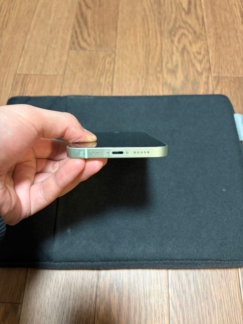 Apple iPhone 12本体 ミントグリーン