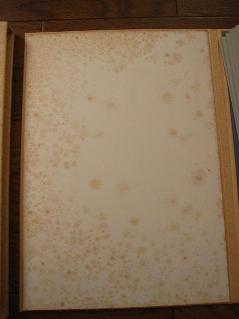 建石修志　変形譚　限定300部　オリジナルリトグラフ　lithograph　一葉