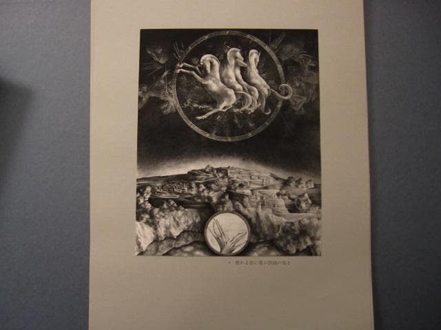 建石修志　変形譚　限定300部　オリジナルリトグラフ　lithograph　一葉