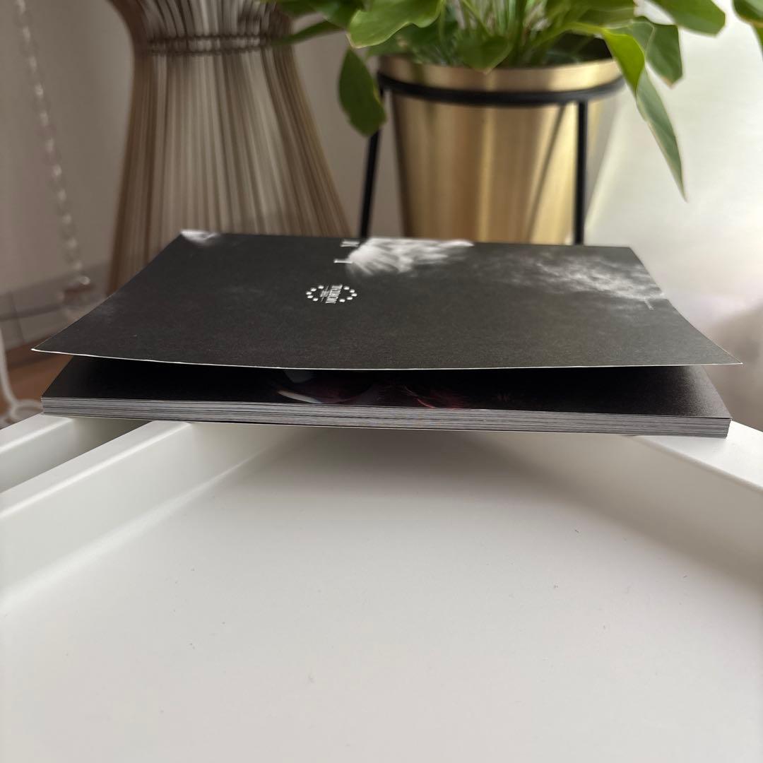 THE MORTAL/IMMORTAL〈初回生産限定盤〉　Blu-ray