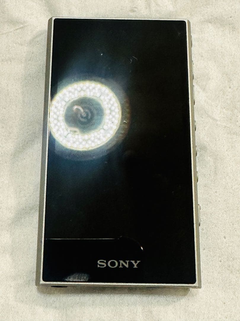 SONY NW-A307 デジタルオーディオプレーヤージャンク