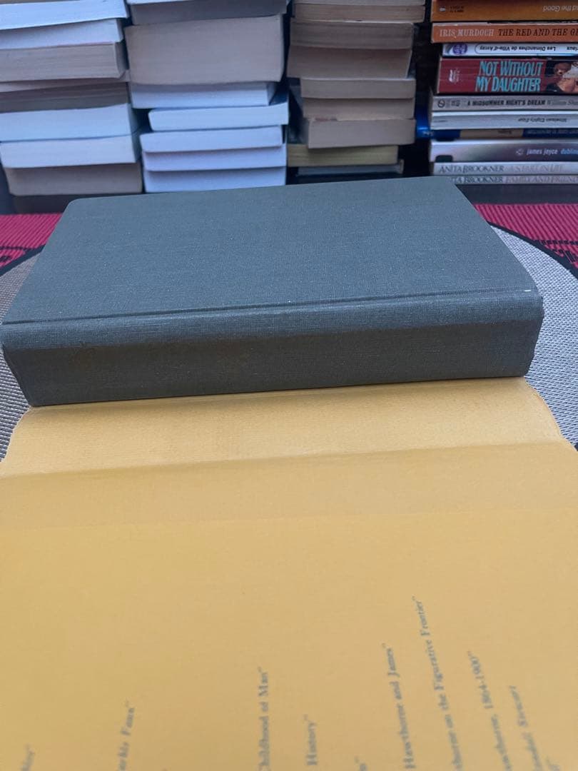 希少　Hawthorne Centenary Essays