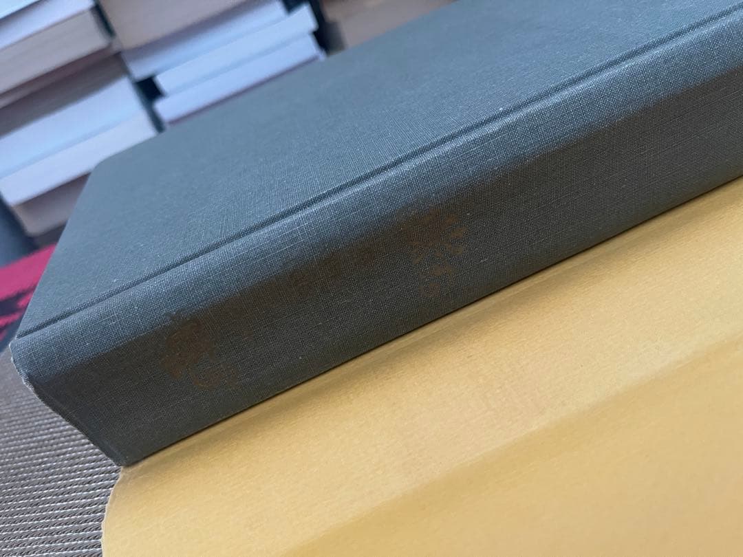 希少　Hawthorne Centenary Essays