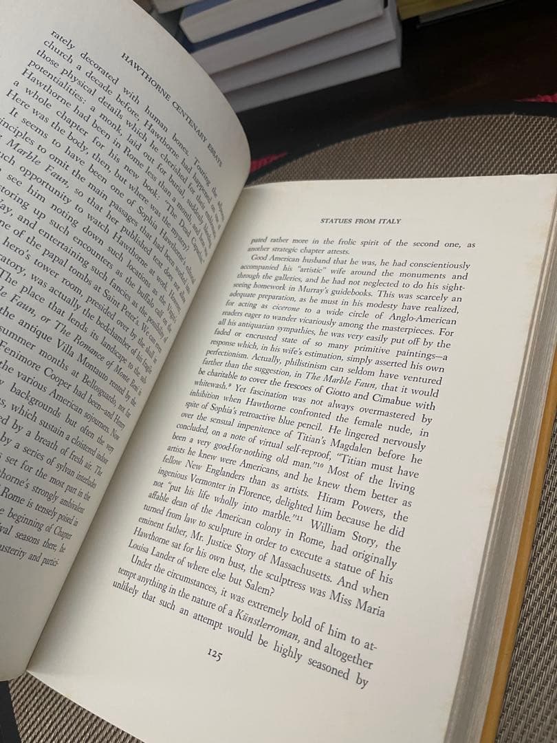 希少　Hawthorne Centenary Essays