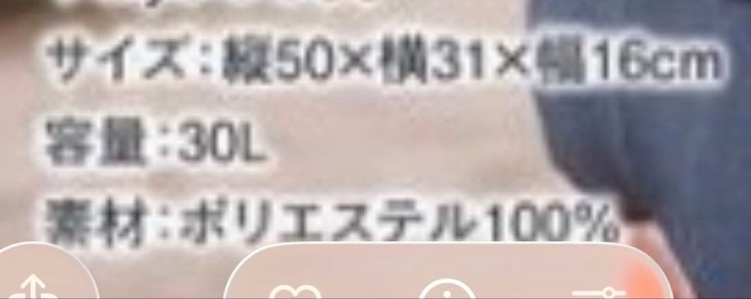 Columbia×Carp コラボバックパック