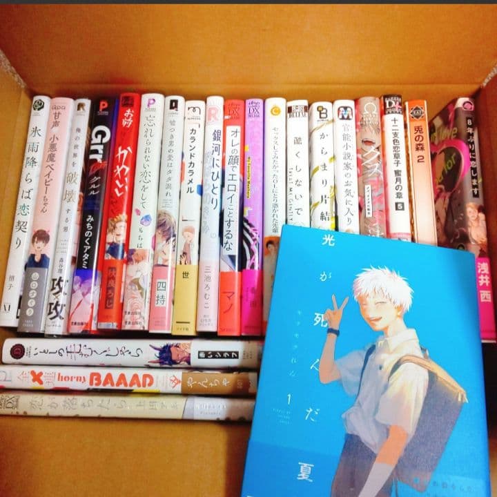 人気作まとめうり23冊■新品未読品■ほぼ初版■ BLコミック 漫画 ビーエル