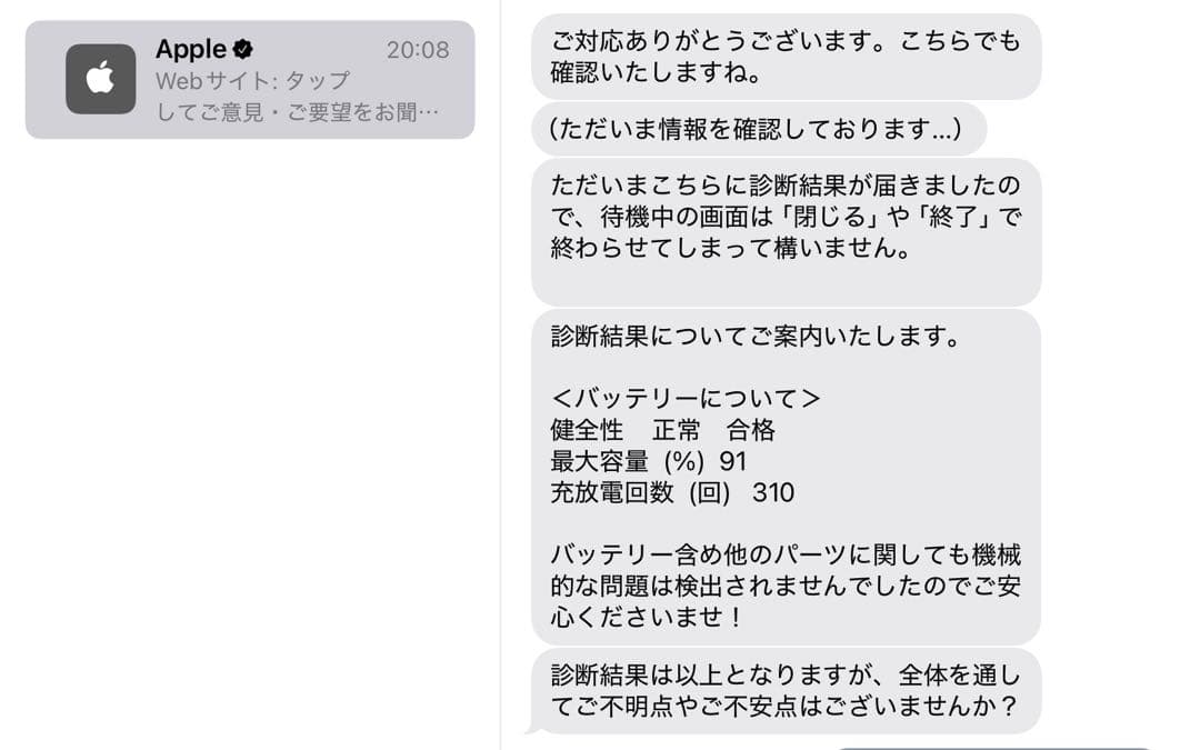 iPad mini (第5世代) ゴールド wifiモデル バッテリー容量91%