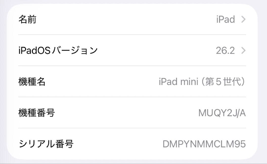 iPad mini (第5世代) ゴールド wifiモデル バッテリー容量91%