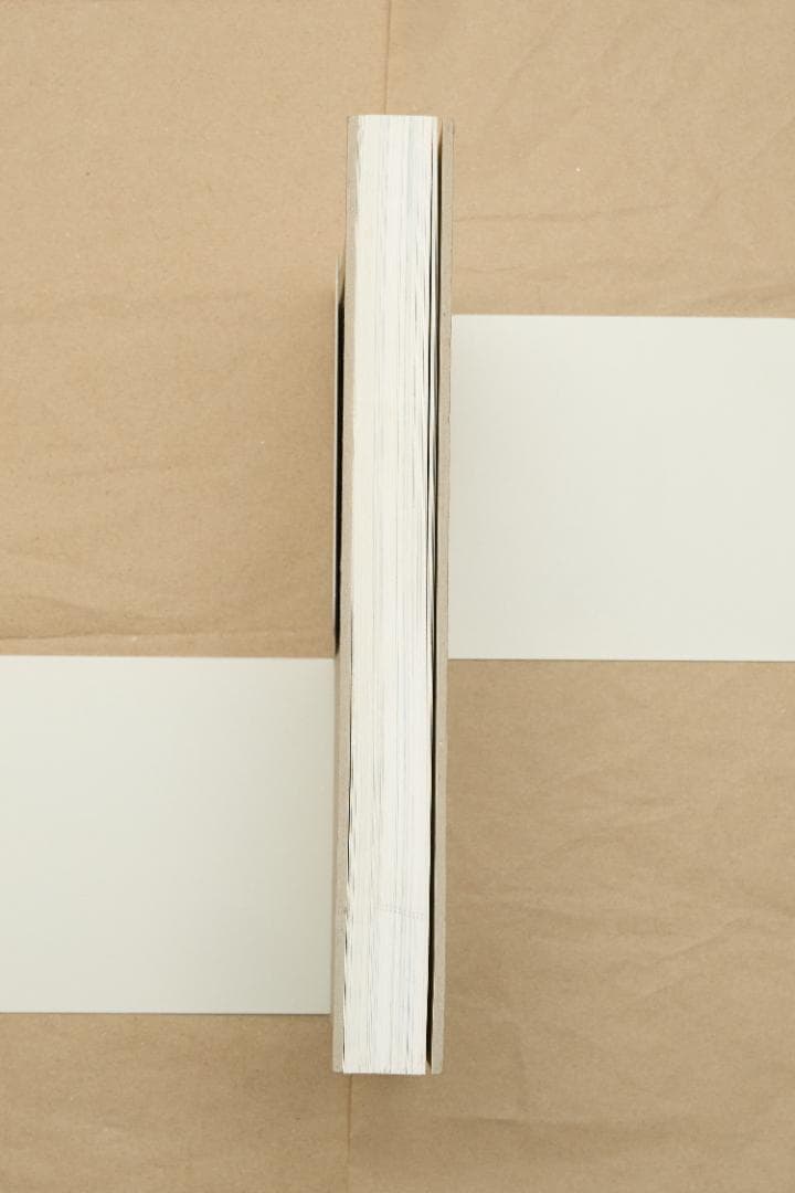 アート・デザイン・音楽 Mark Borthwick \"not in fashion\"