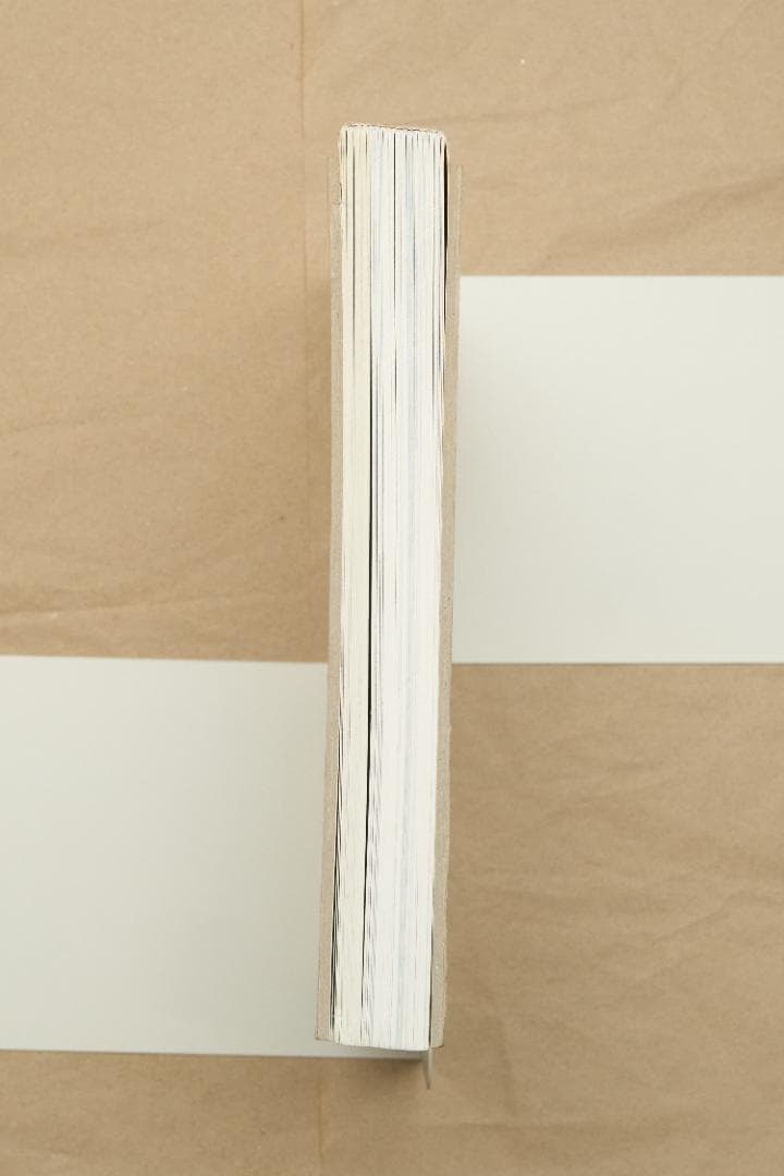 アート・デザイン・音楽 Mark Borthwick \"not in fashion\"