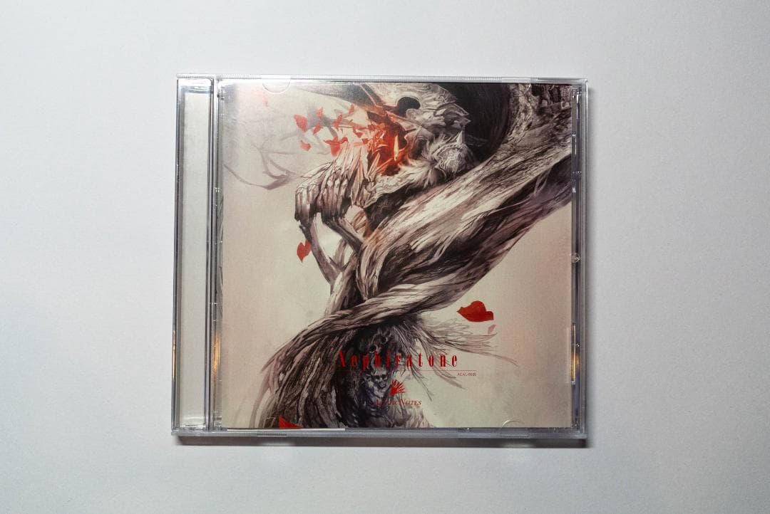 【AcuticNotes】Xephiratone