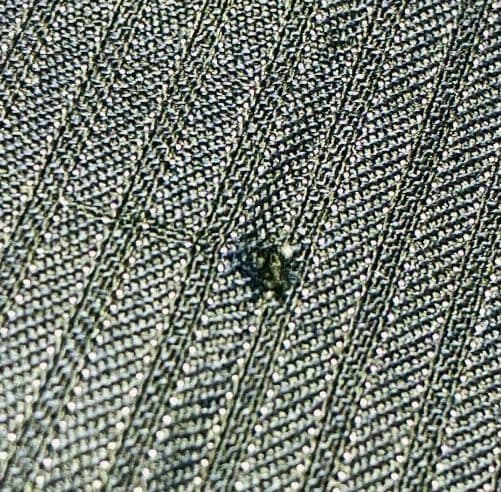 PaulSmith LoroPiana ストライプ SUPER 130'S M