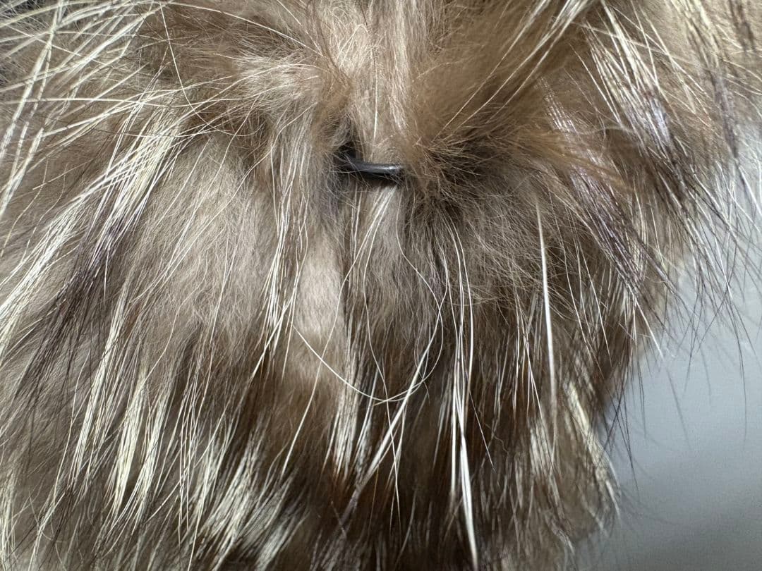 SAGA FOX フォックスファーロングコート 601262