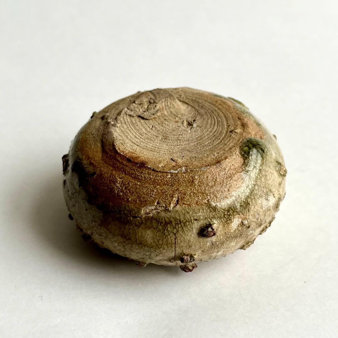 古瀬戸　灰釉　小壺