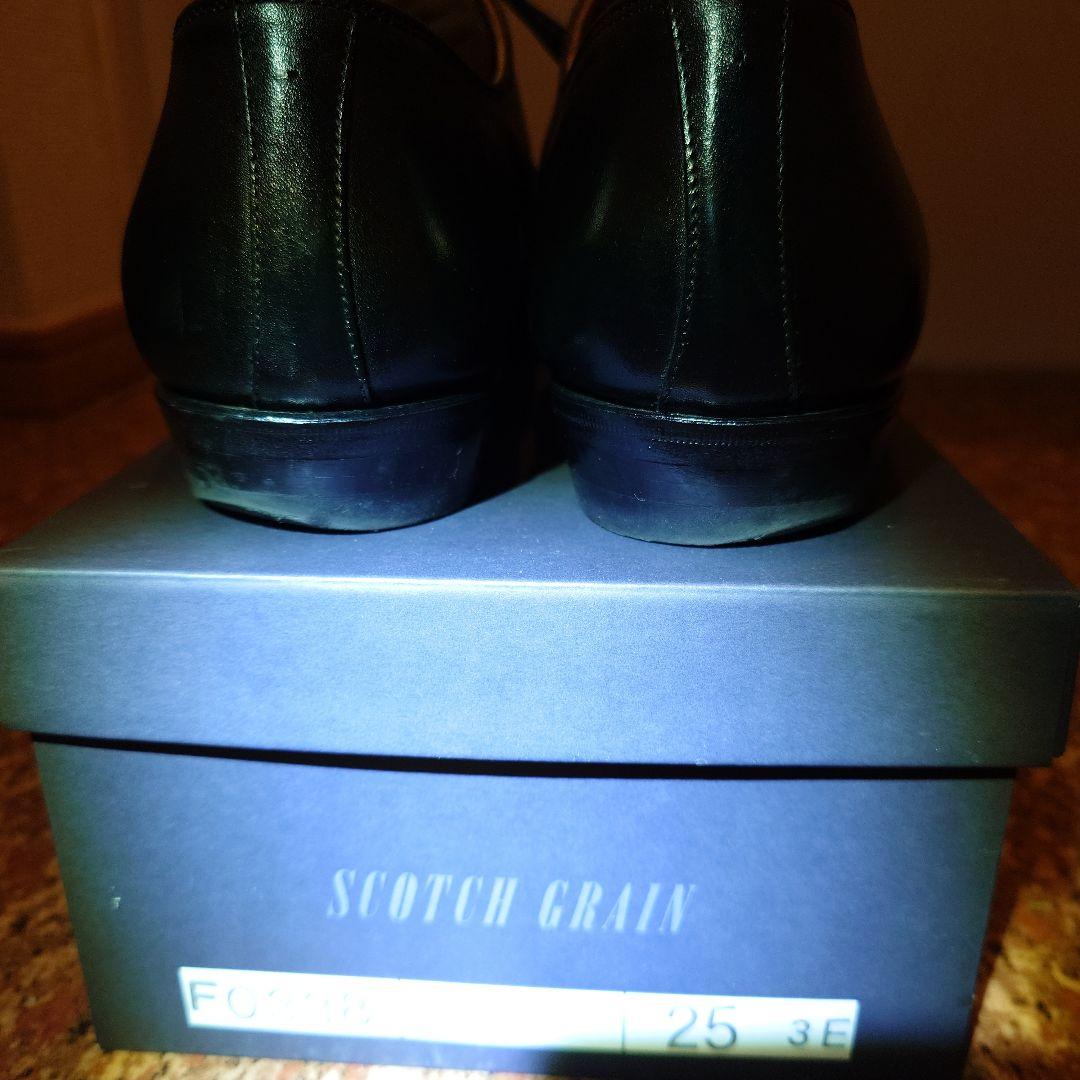 スコッチグレイン 25cm/3E 高島屋 TS200