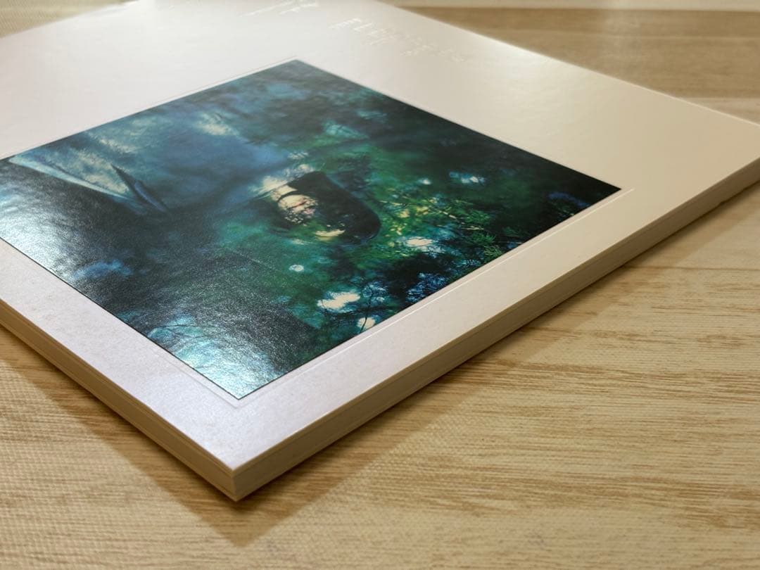 山元彩香We are made of Grass, Soil and Trees