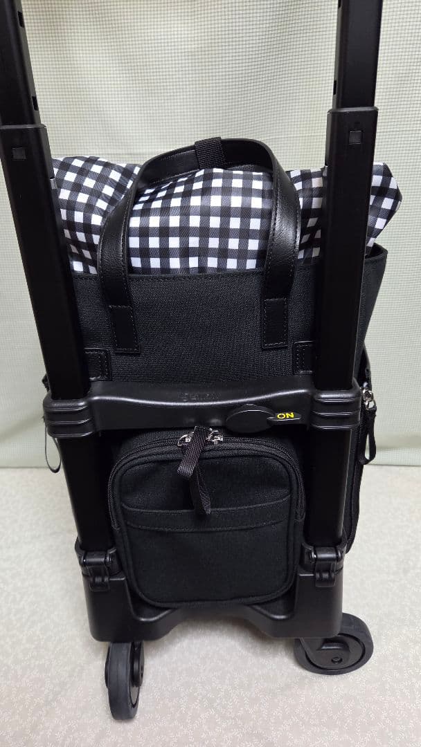 SWANY D-619-TS18/ブトーノブラック キャリーケース