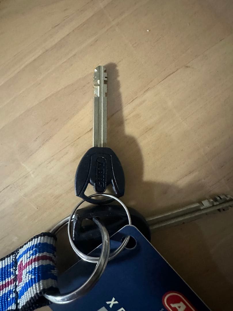 ABUS City Chain X-Plus 110cm 特殊鍵